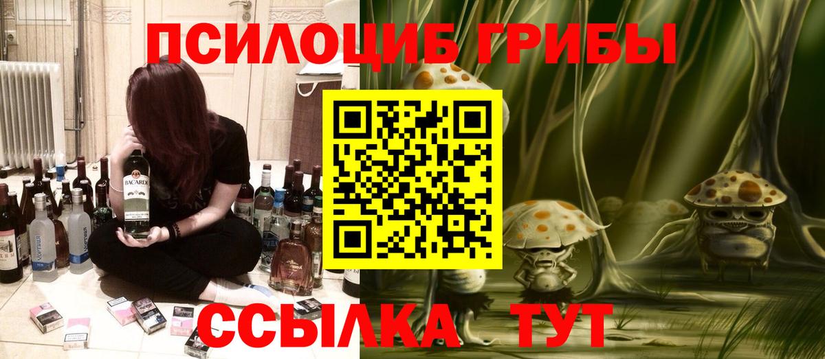 Галлюциногенные грибы Cubensis Лениногорск